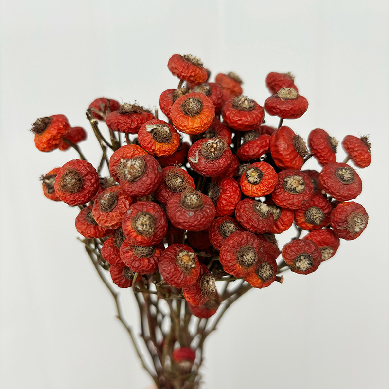 Dried Flower Bunch - 10 adet/demet kurutulmuş kuşburnu çiçekleri doğal