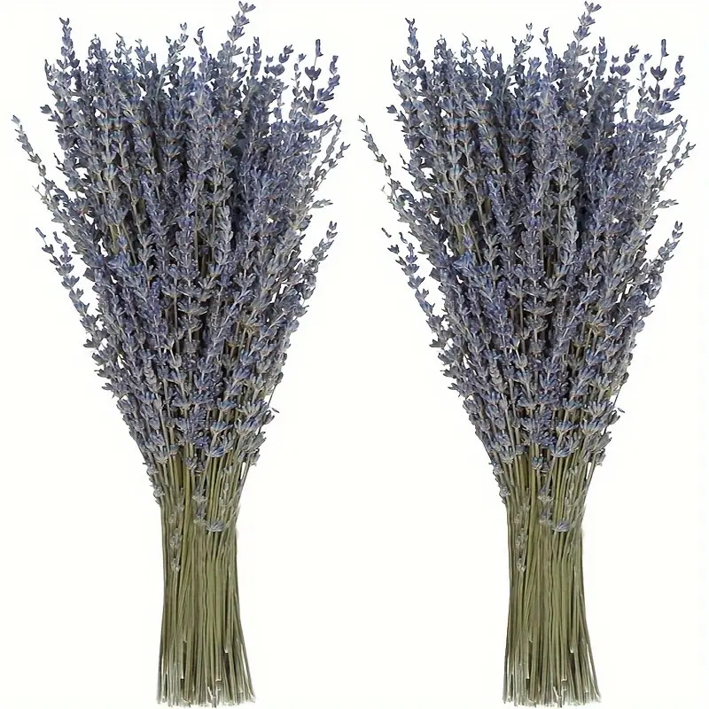 Dried Flower Bunch - 200 adet/Buket Lavanta Kurutulmuş Çiçekler Ev