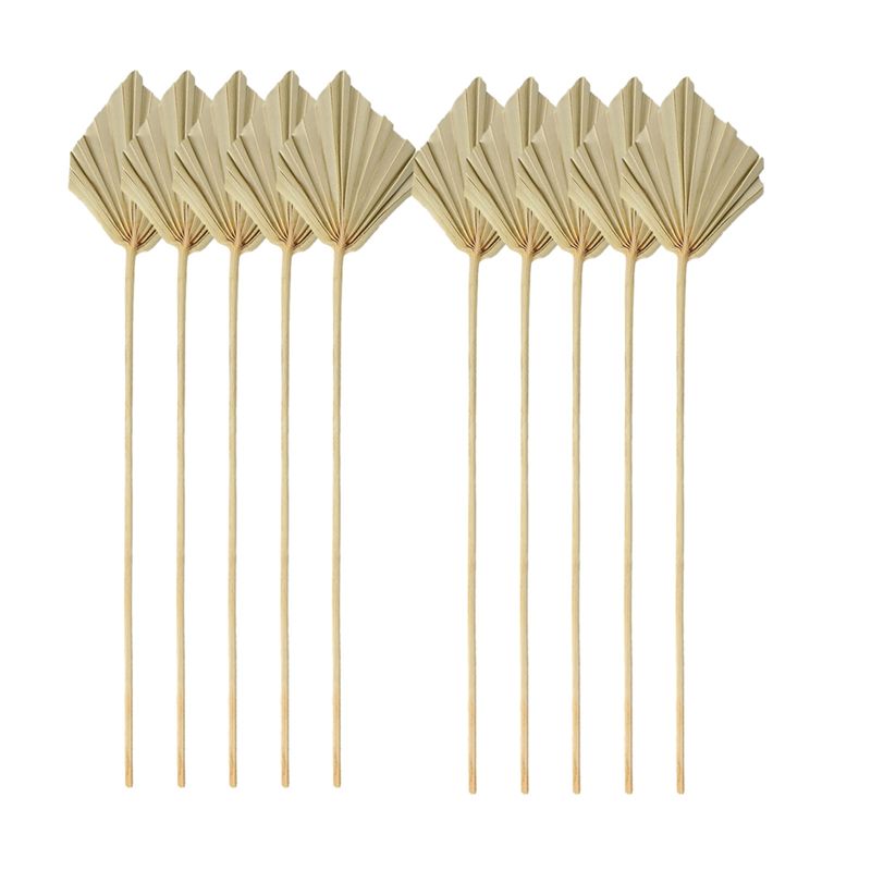 Palm Leaf Dried - TFORU-Boho Kurutulmuş Palmiye Sivri Uçları Küçük