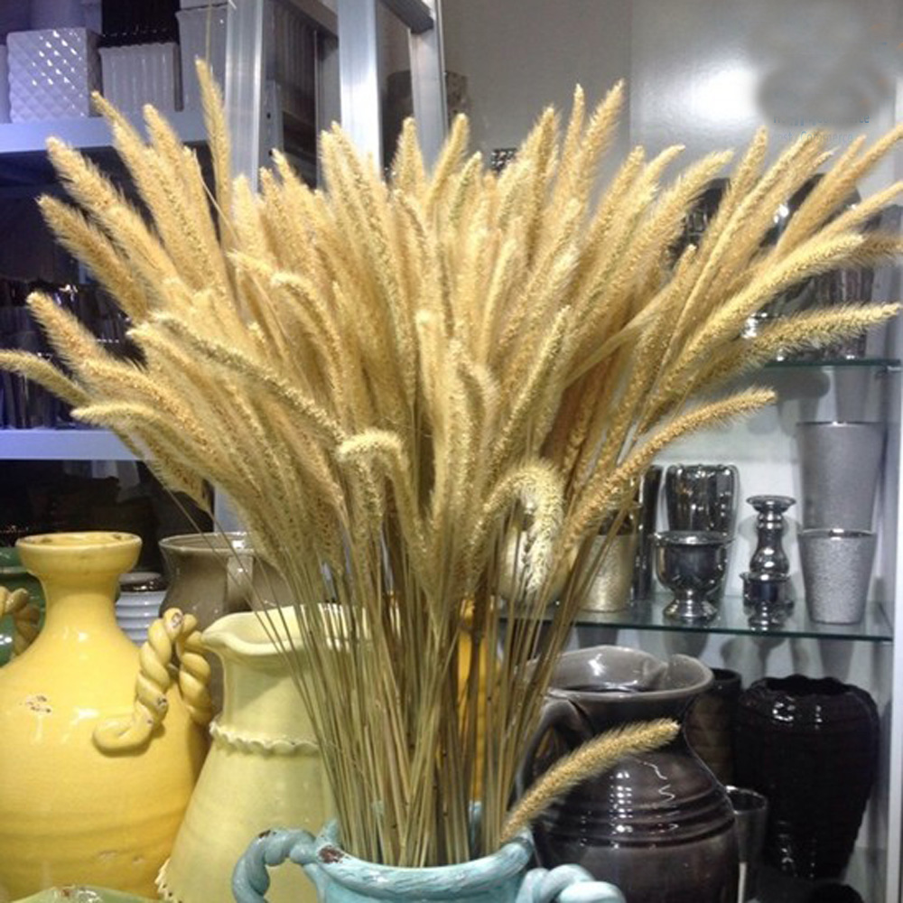 Dried Flower Bunch - 200 adet doğal kurutulmuş Lagurus ovatus