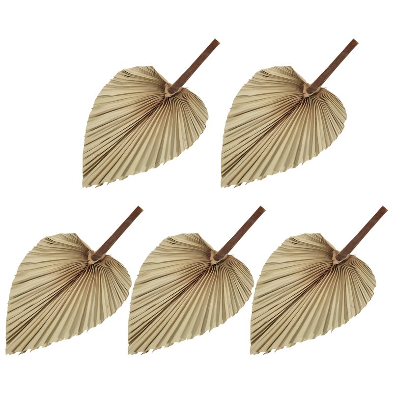 Palm Leaf Dried - SEWS-5 Adet Doğal Kurutulmuş Palmiye Yaprakları