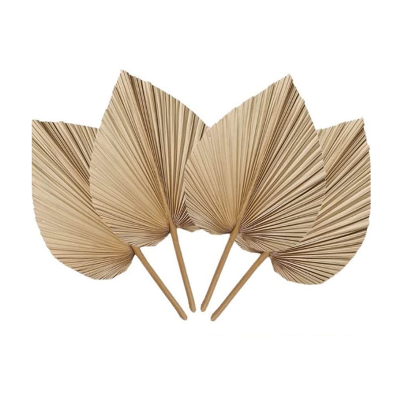 Palm Leaf Dried - A27F-6 Adet Doğal Tropikal Kurutulmuş Palmiye