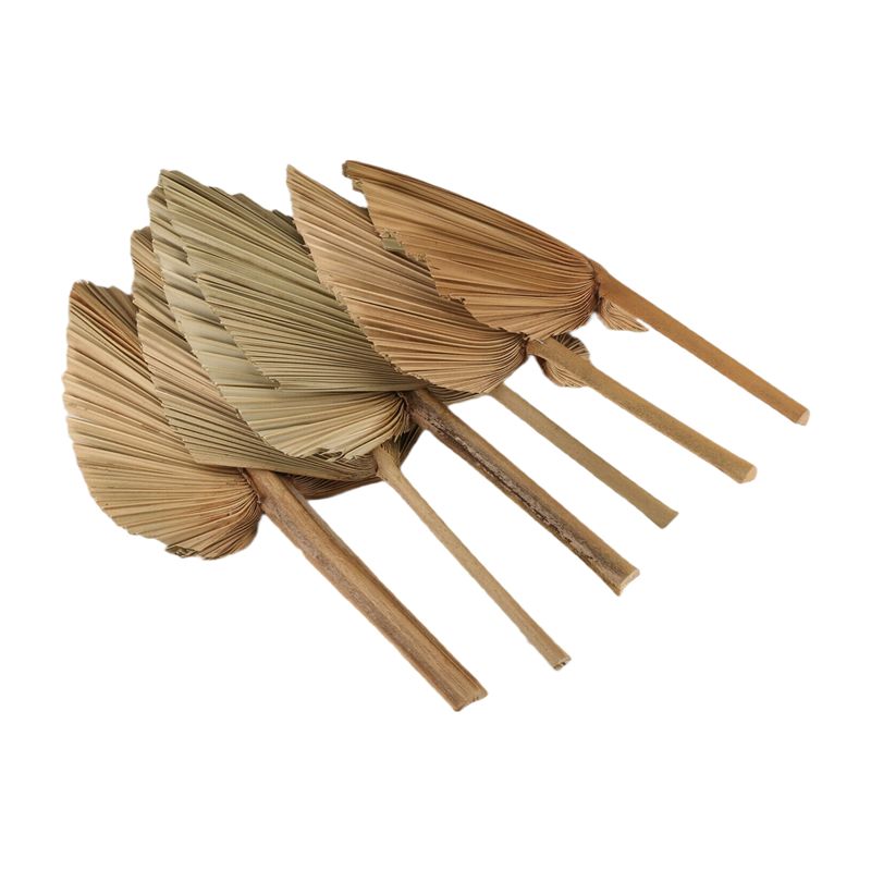 Palm Leaf Dried - ABKO-6PCS Kurutulmuş Palmiye Yaprakları Doğal Kurutulmuş