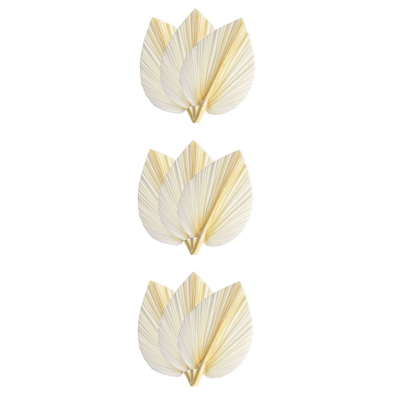 Palm Leaf Dried - Büyük Beyaz Kurutulmuş Palmiye Yaprakları -