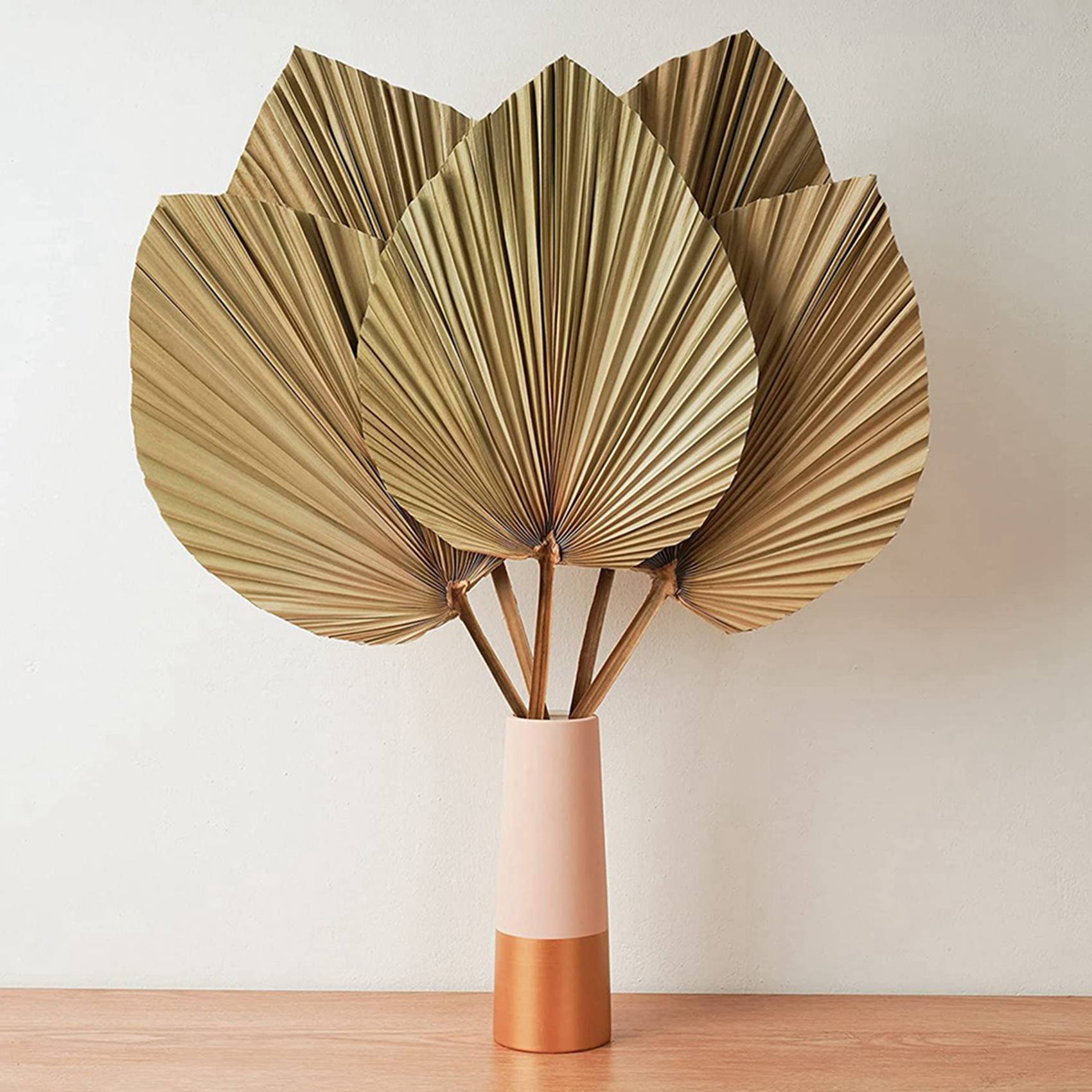 Palm Leaf Dried - Kurutulmuş Palmiye Yaprakları Oda Dekoru 10
