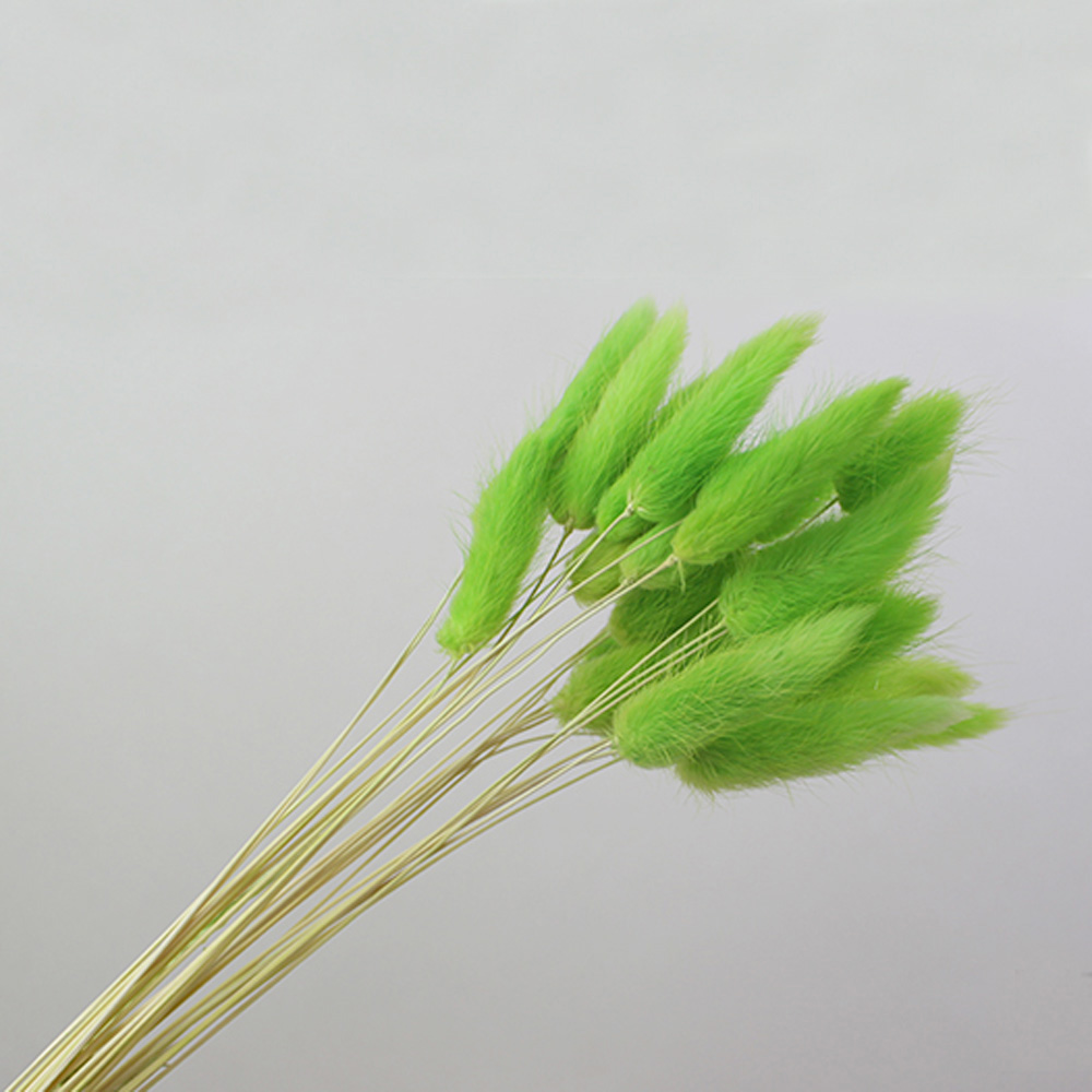 50 adet kurutulmuş doğal çiçek - Dried Flower Bunch incelemesi ve fiyatı