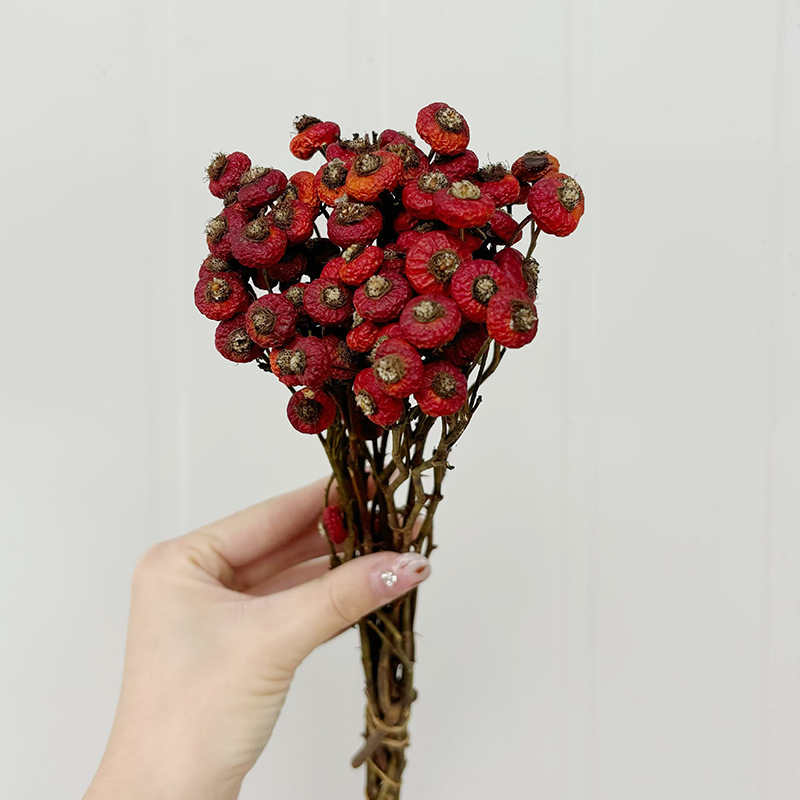10 adet/demet kurutulmuş kuşbu - Dried Flower Bunch incelemesi ve fiyatı