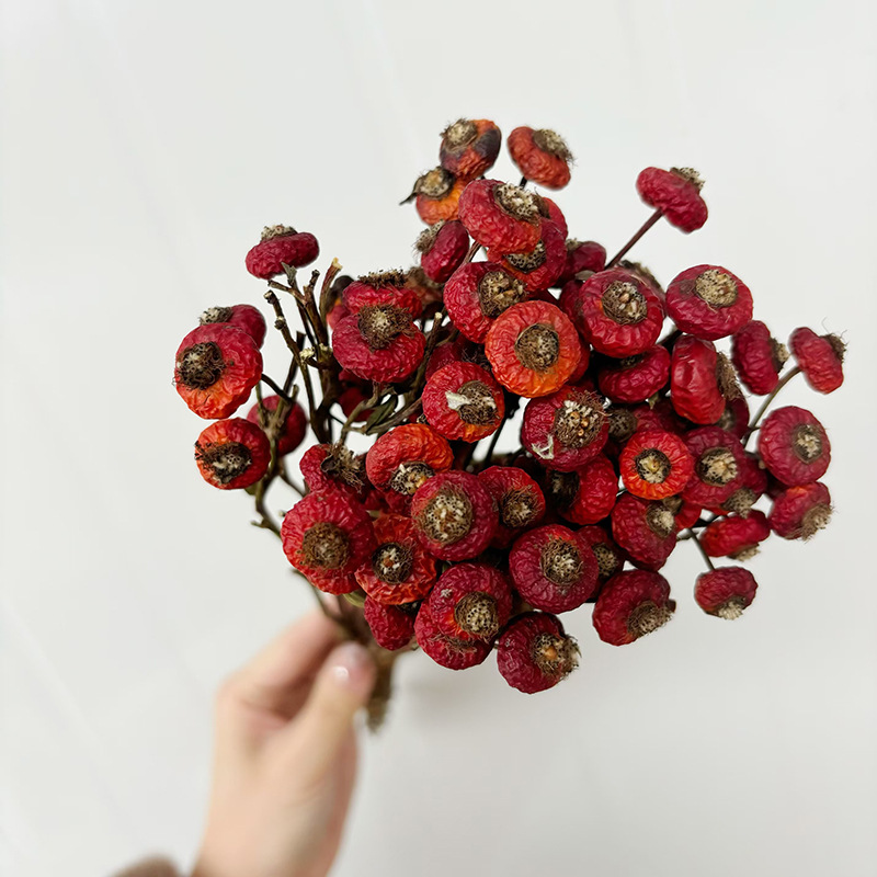 10 adet/demet kurutulmuş kuşbu - Dried Flower Bunch incelemesi ve fiyatı