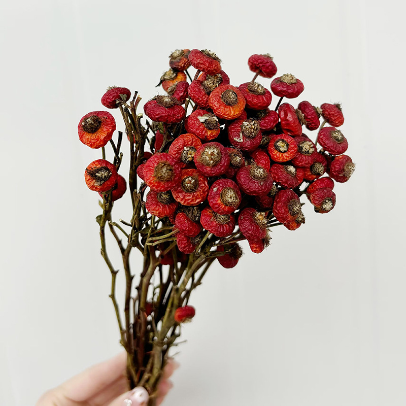 10 adet/demet kurutulmuş kuşbu - Dried Flower Bunch incelemesi ve fiyatı