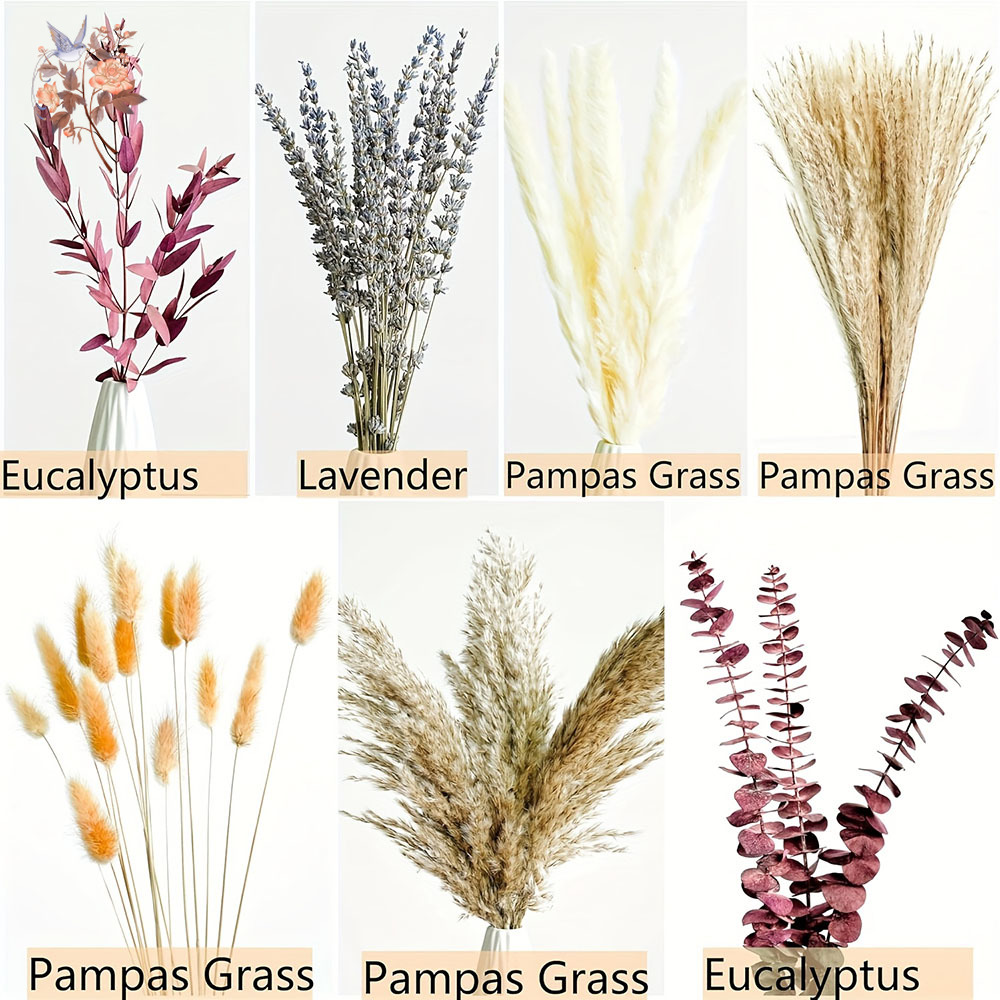 75 adet kurutulmuş Pampas okal - Dried Flower Bunch incelemesi ve fiyatı
