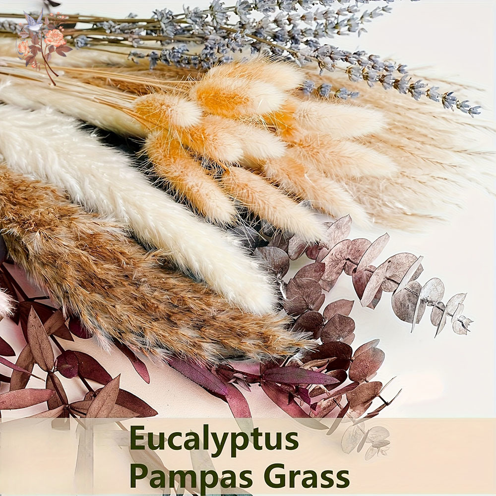 75 adet kurutulmuş Pampas okal - Dried Flower Bunch incelemesi ve fiyatı