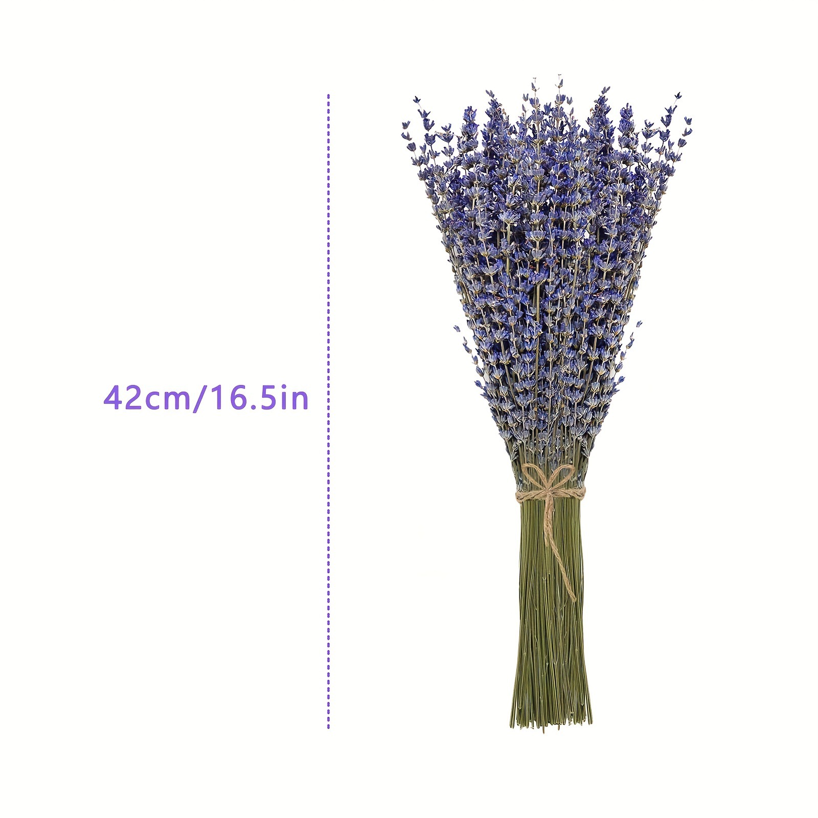 200 adet/Buket Lavanta Kurutul - Dried Flower Bunch incelemesi ve fiyatı