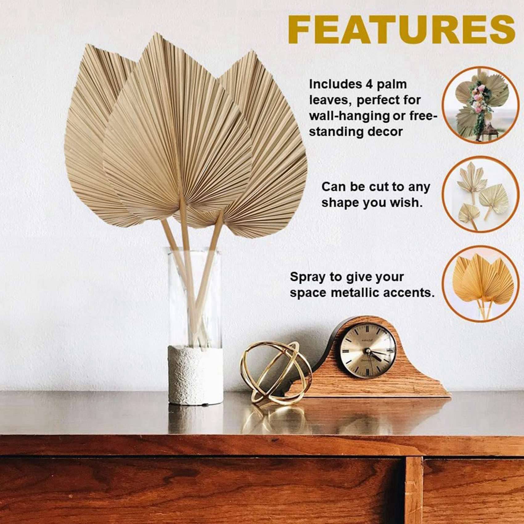8 Parça Doğal Kurutulmuş Palmi - Palm Leaf Dried incelemesi ve fiyatı