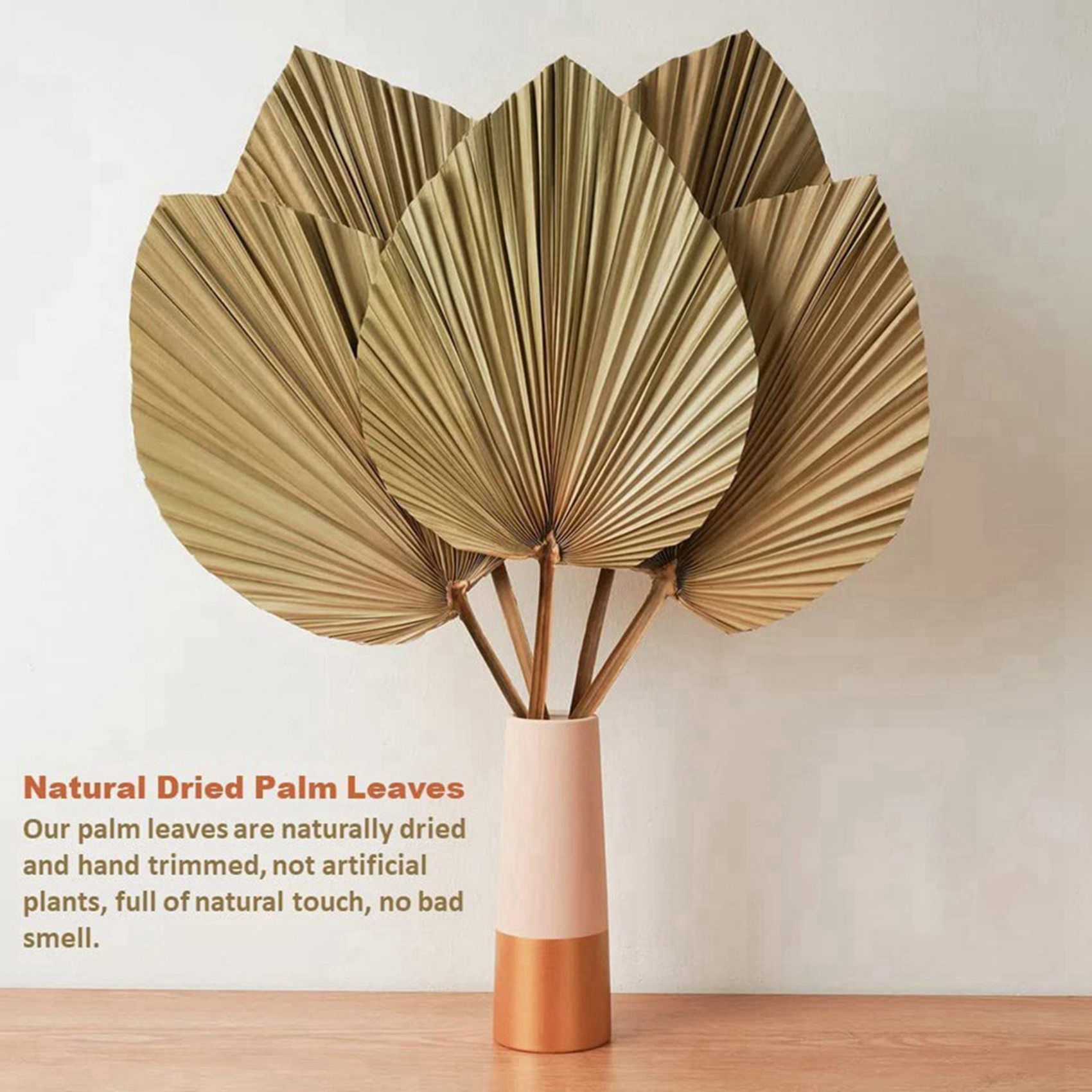 8 Parça Doğal Kurutulmuş Palmi - Palm Leaf Dried incelemesi ve fiyatı