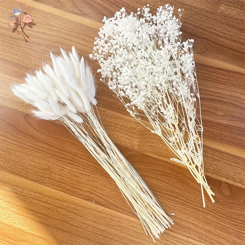54 Adet Beyaz Kurutulmuş Çiçek - Dried Flower Bunch incelemesi ve fiyatı