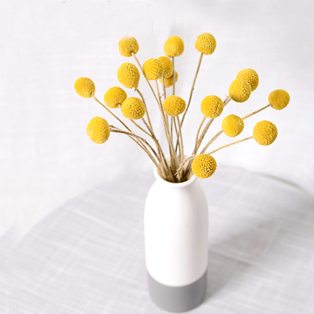 20 adet Doğal kurutulmuş Crasp - Dried Flower Bunch incelemesi ve fiyatı