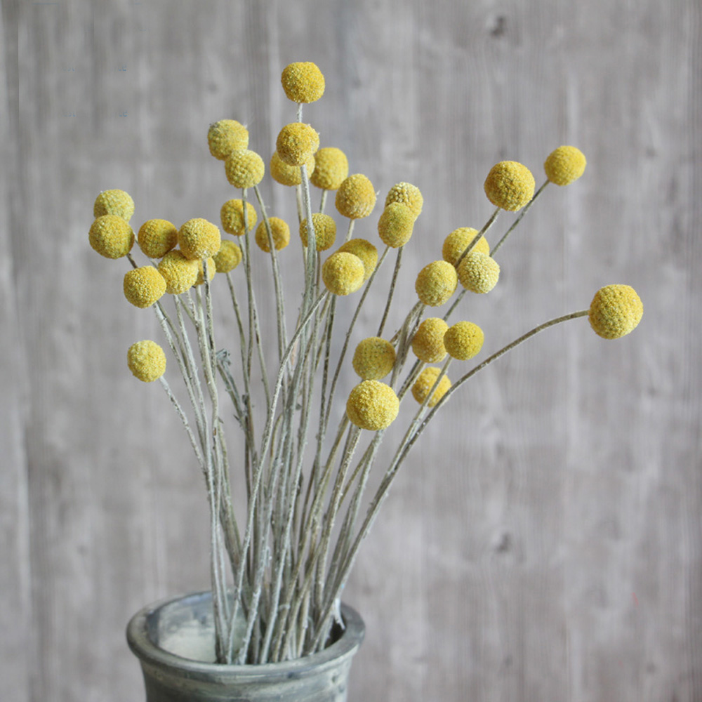 20 adet Doğal kurutulmuş Crasp - Dried Flower Bunch incelemesi ve fiyatı