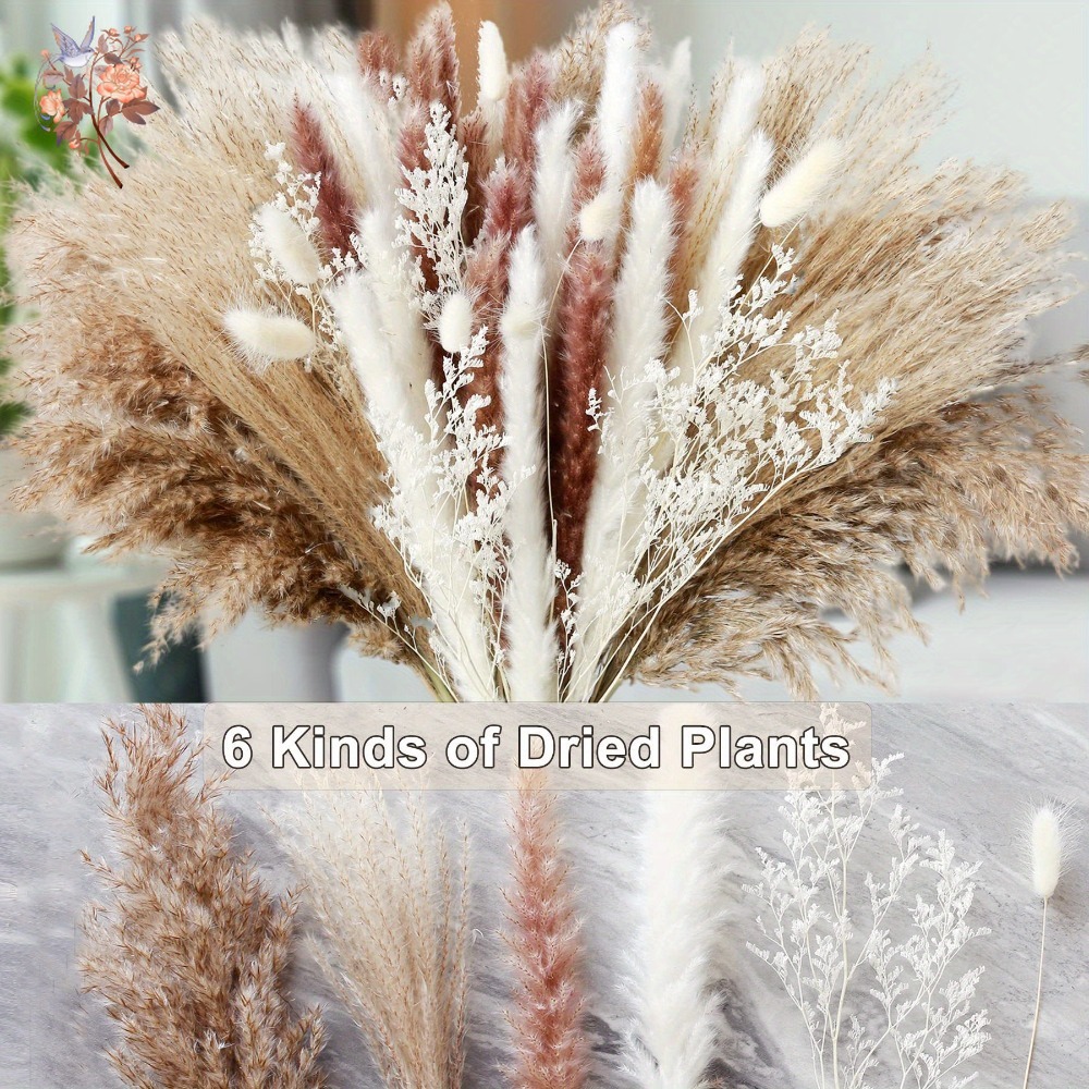 Doğal Kurutulmuş Çiçek Pampas  - Dried Flower Bunch incelemesi ve fiyatı