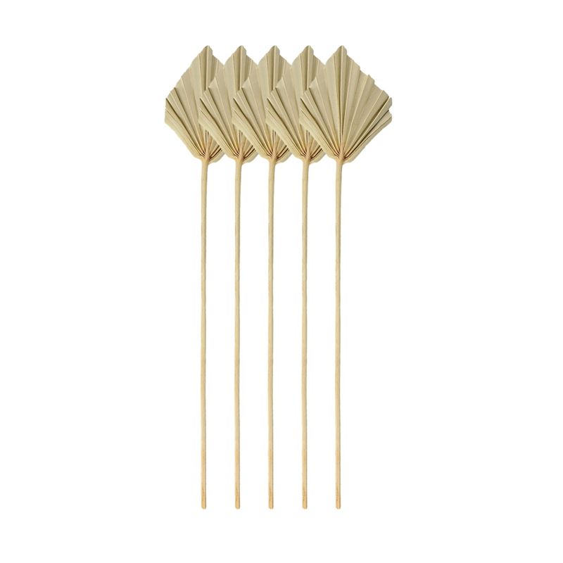 A67P-Boho Kurutulmuş Palmiye S - Palm Leaf Dried incelemesi ve fiyatı