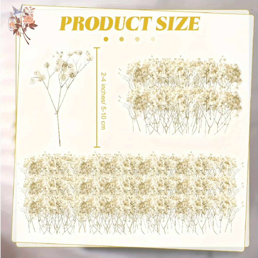 Mini Kurutulmuş Gypsophila Çiç - Dried Flower Bunch incelemesi ve fiyatı