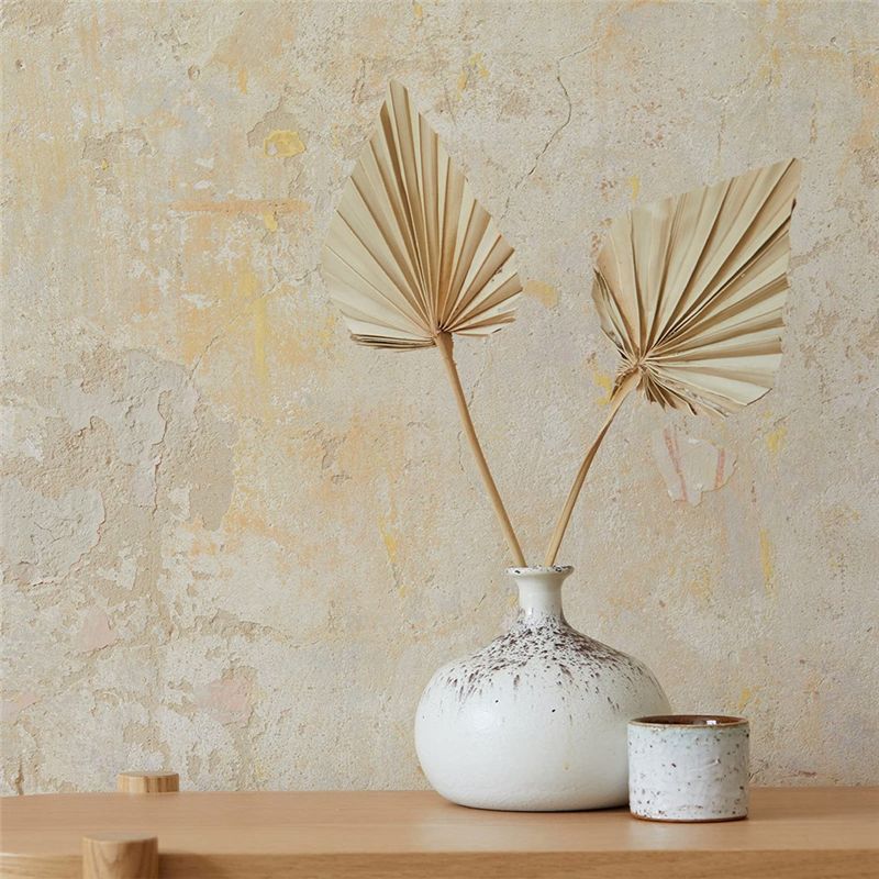 ABYN-Boho Kurutulmuş Palmiye S - Palm Leaf Dried incelemesi ve fiyatı
