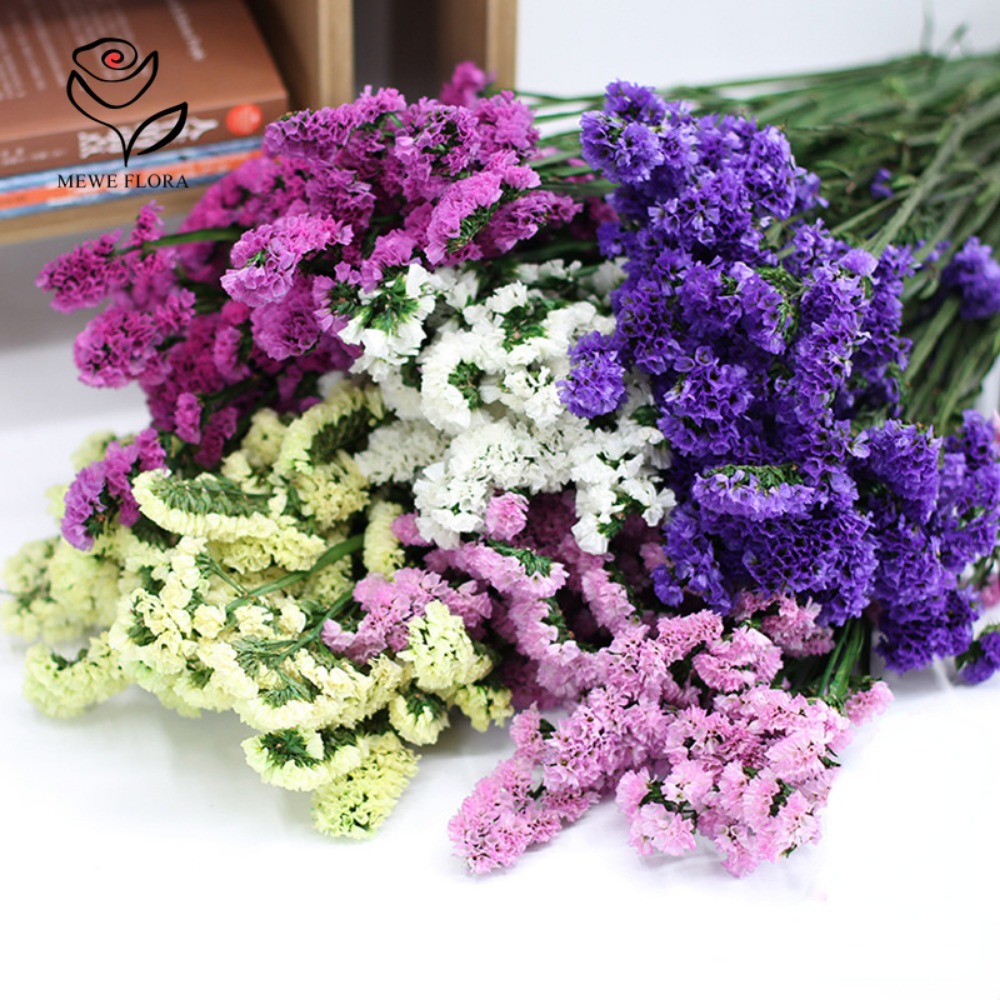 100g kurutulmuş beni unutma çi - Dried Flower Bunch incelemesi ve fiyatı