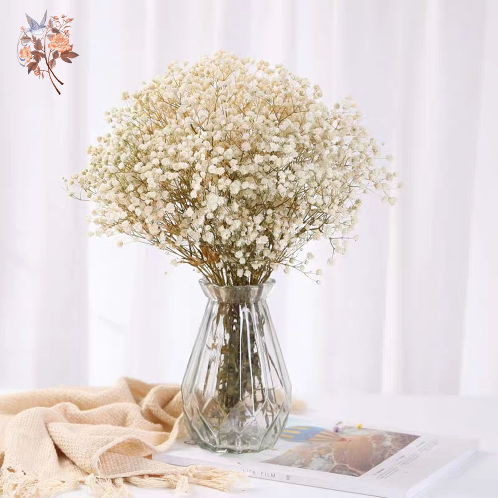 60g Kurutulmuş Bebek Nefes Çiç - Dried Flower Bunch incelemesi ve fiyatı