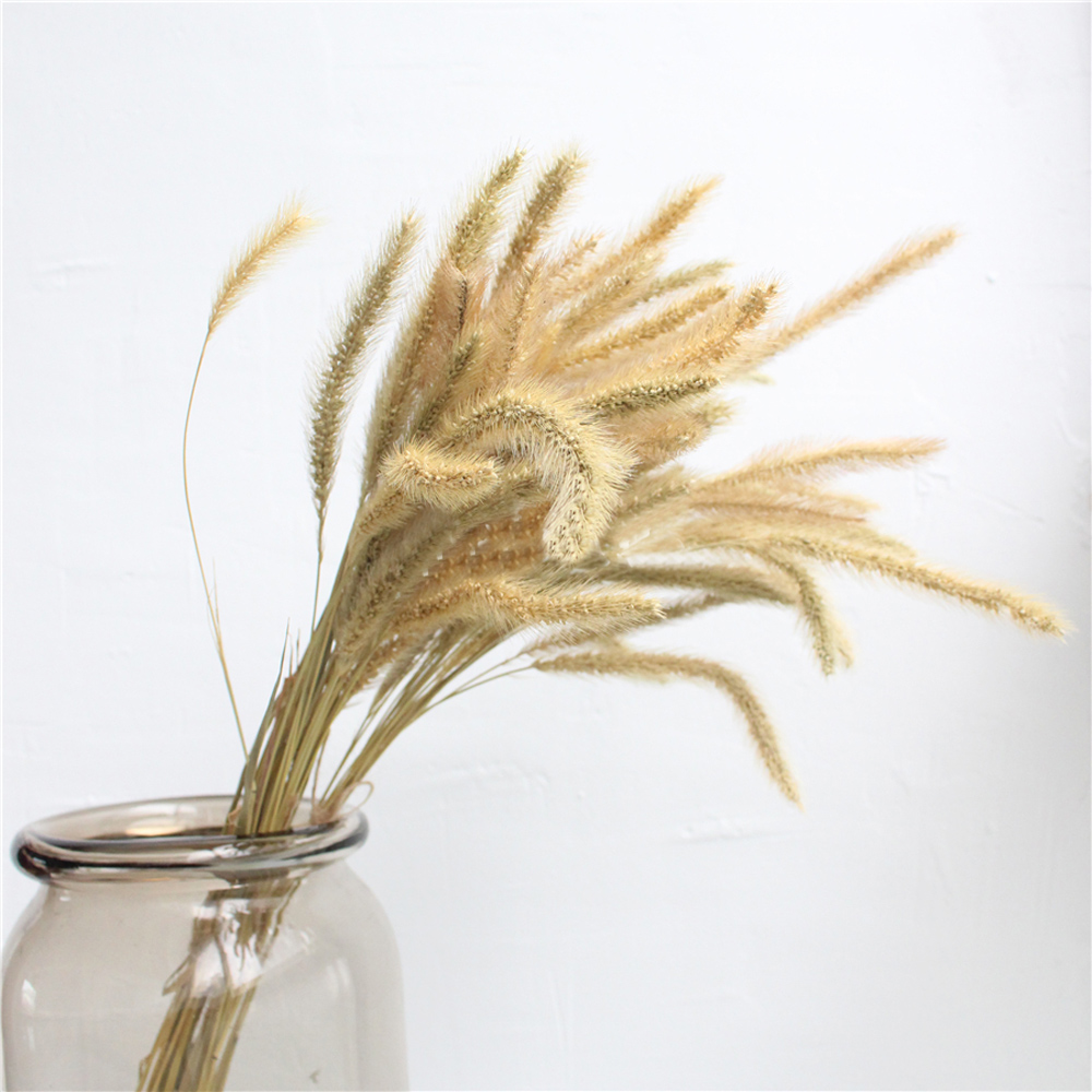 200 adet doğal kurutulmuş Lagu - Dried Flower Bunch incelemesi ve fiyatı