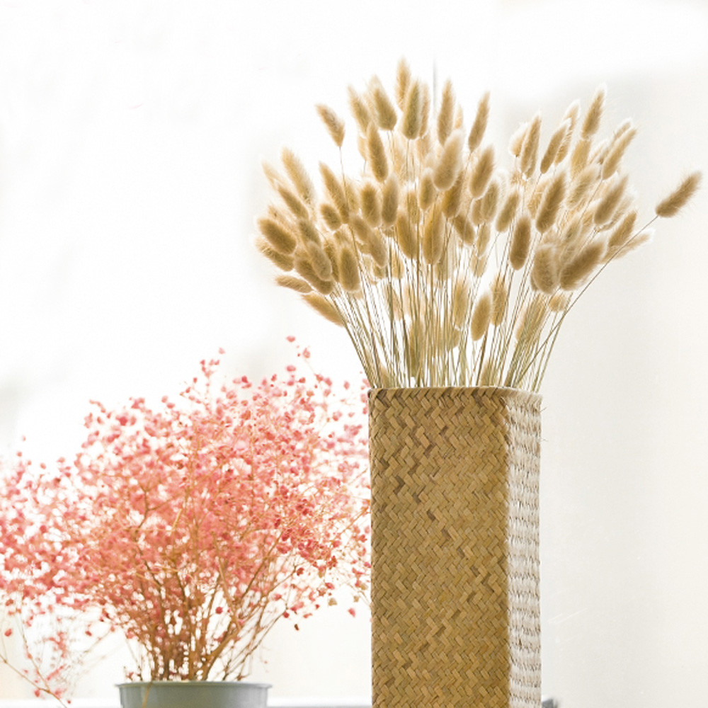 200 adet doğal kurutulmuş Lagu - Dried Flower Bunch incelemesi ve fiyatı