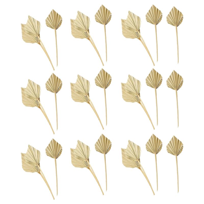 A36T-30 Adet Boho Kurutulmuş P - Palm Leaf Dried incelemesi ve fiyatı