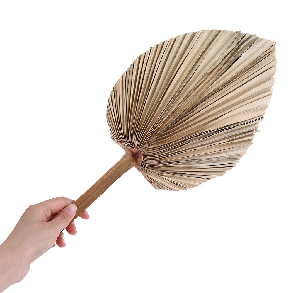 Parti Ofisi Boho Kesimli Bohem - Palm Leaf Dried incelemesi ve fiyatı
