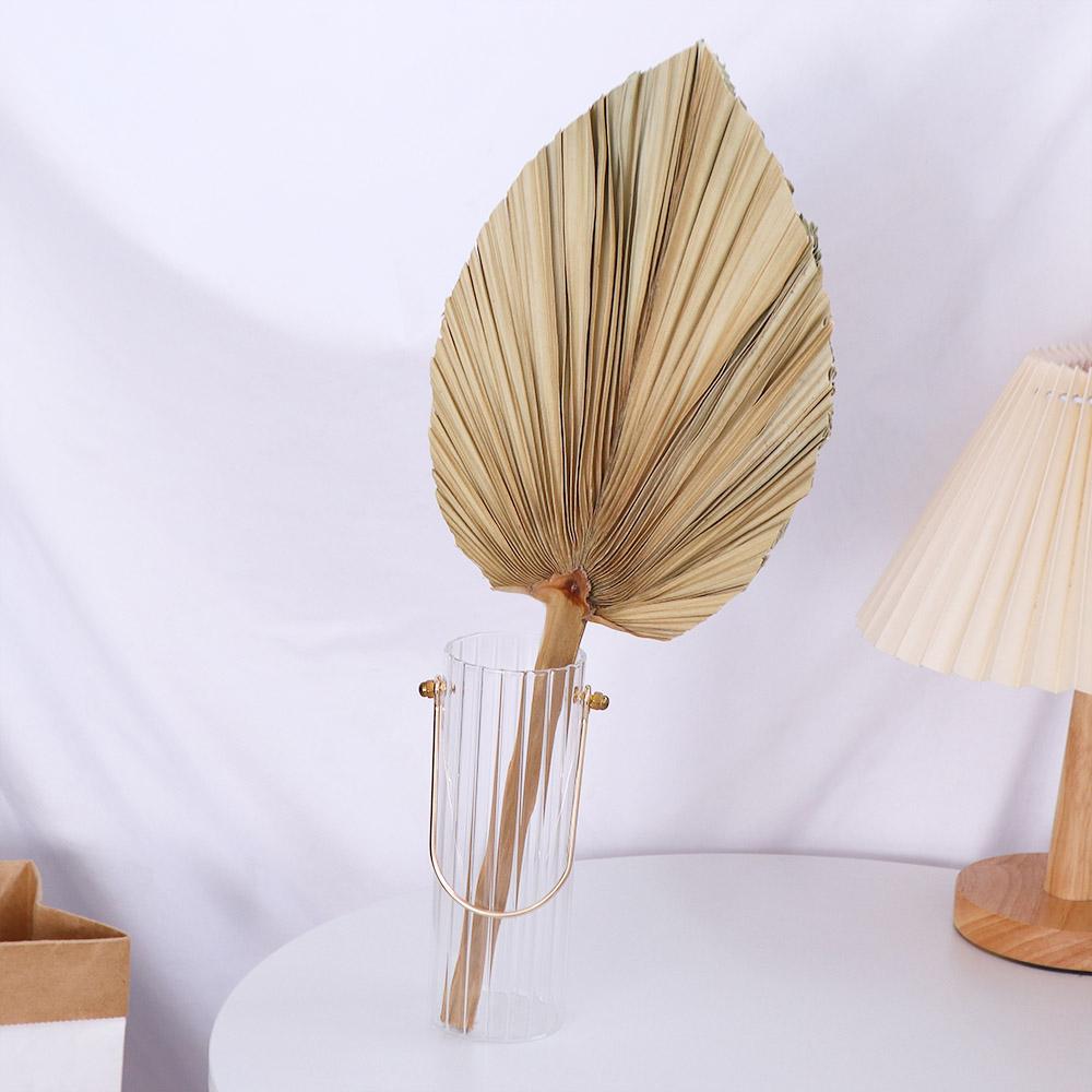 Parti Ofisi Boho Kesimli Bohem - Palm Leaf Dried incelemesi ve fiyatı