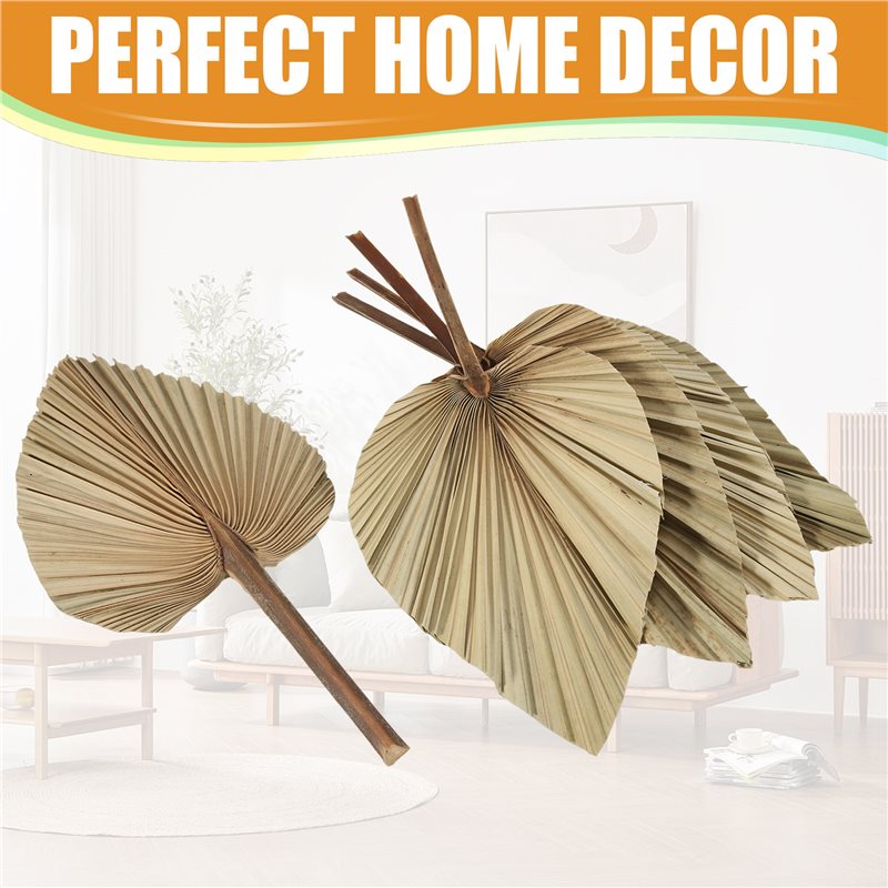SEWS-5 Adet Doğal Kurutulmuş P - Palm Leaf Dried incelemesi ve fiyatı