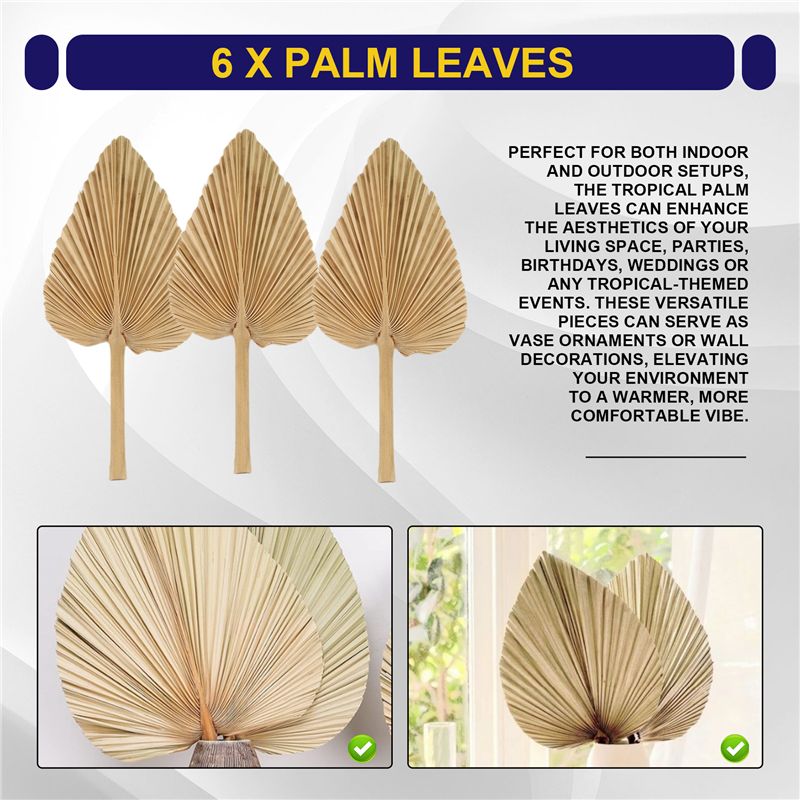 ABKO-6PCS Kurutulmuş Palmiye Y - Palm Leaf Dried incelemesi ve fiyatı