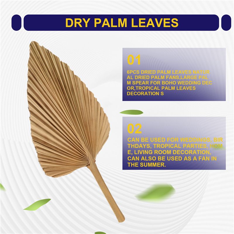 ABKO-6PCS Kurutulmuş Palmiye Y - Palm Leaf Dried incelemesi ve fiyatı