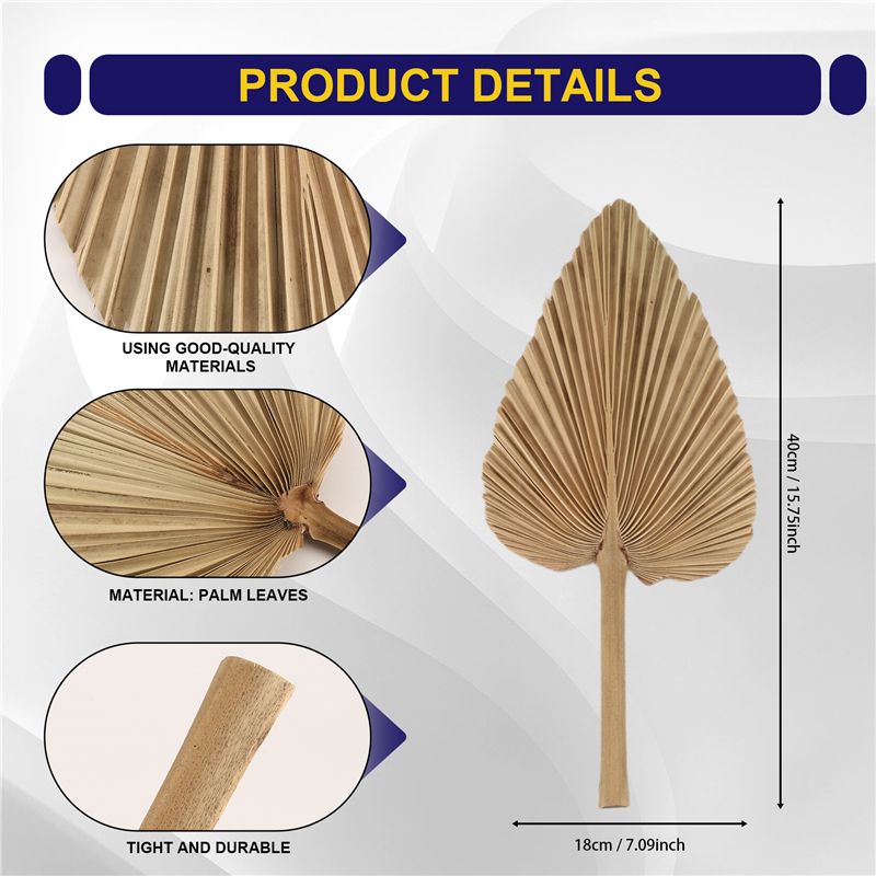 ABKO-6PCS Kurutulmuş Palmiye Y - Palm Leaf Dried incelemesi ve fiyatı
