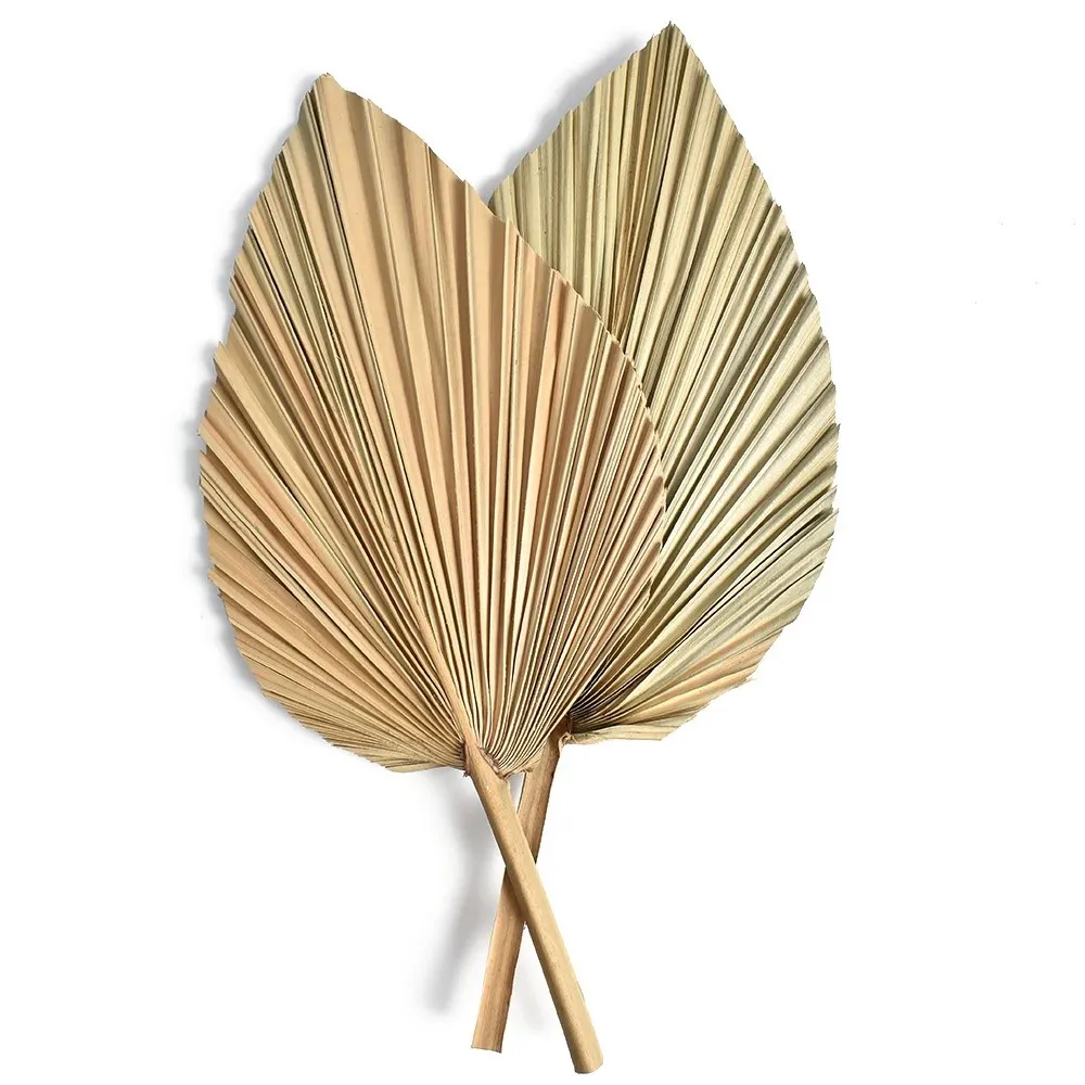 Doğal Kurutulmuş Palmiye Yapra - Palm Leaf Dried incelemesi ve fiyatı