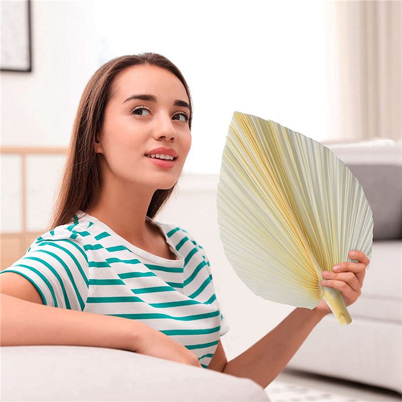 Büyük Beyaz Kurutulmuş Palmiye - Palm Leaf Dried incelemesi ve fiyatı